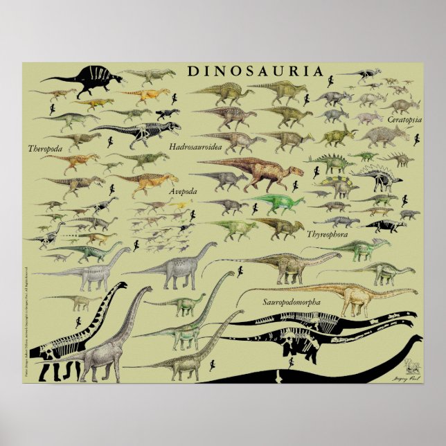 Póster Grupos de Dinosaurios Escalar Gráfico Poster Grego (Frente)