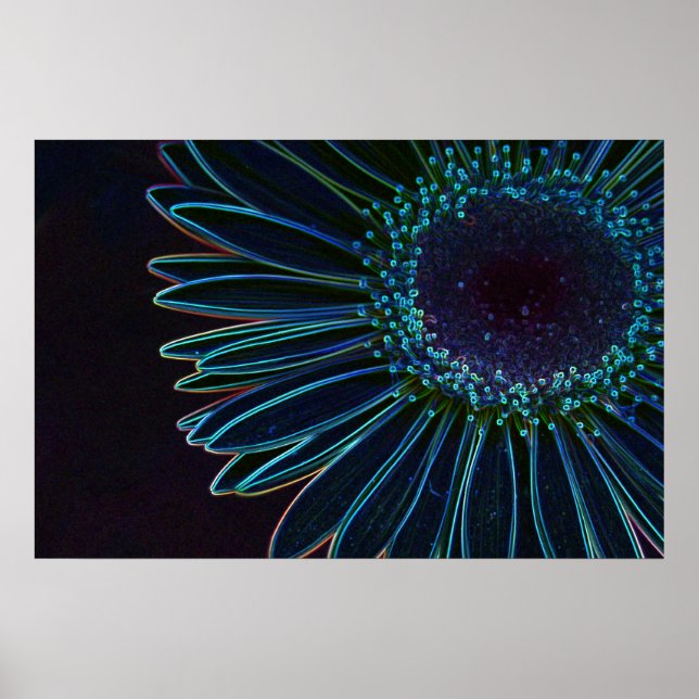 Póster Gslow Gerbera Daisy (Frente)