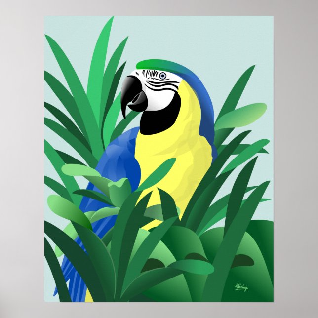 Póster Guacamayo azul y dorado (Frente)