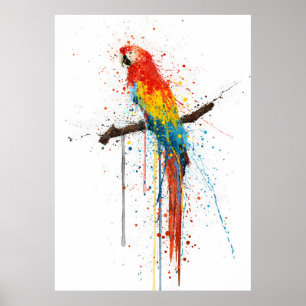Póster Guacamayo Escarlata