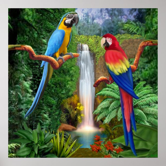 Póster Guacamayos Loros Tropicales (Frente)