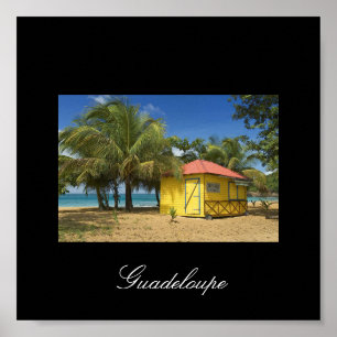 Póster Guadalupe-gama, Guadalupe