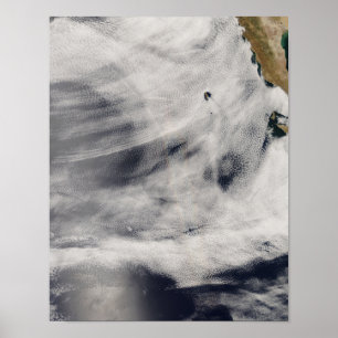 Póster Guadalupe Island