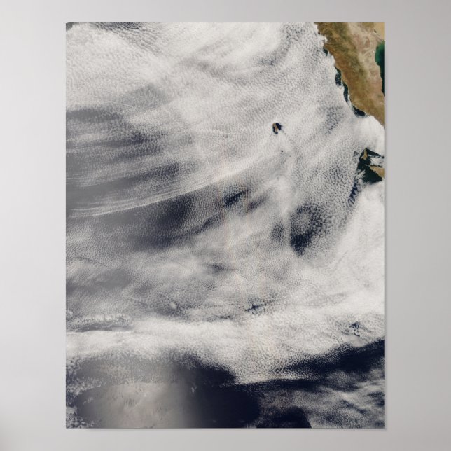 Póster Guadalupe Island (Frente)