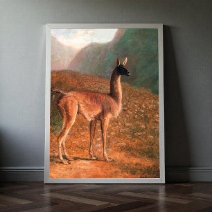 Póster Guanaco (aprox. 1848) pintura de Jacques-Laurent A