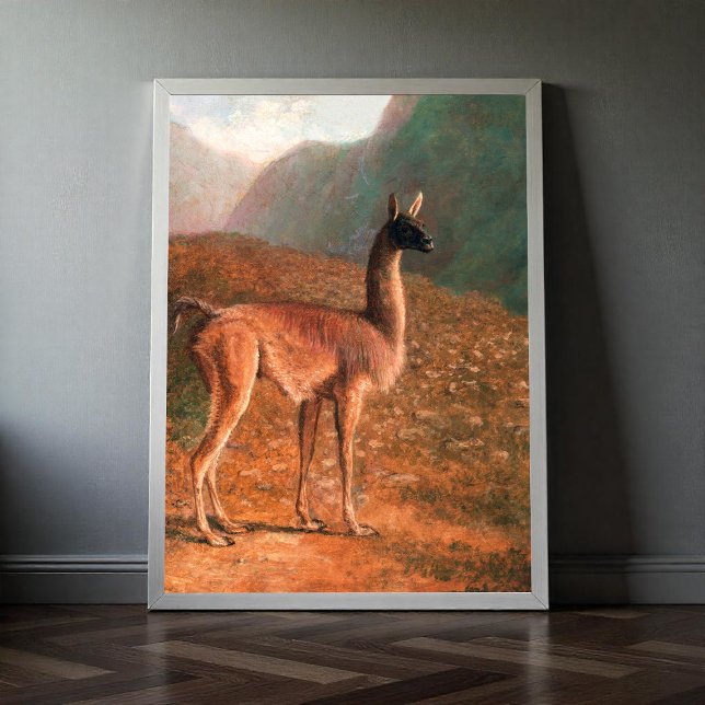 Póster Guanaco (aprox. 1848) pintura de Jacques-Laurent A (Subido por el creador)