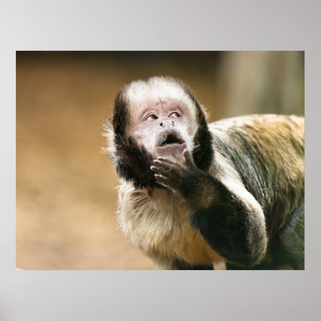Póster Guapo mocoso (Frente)