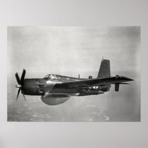 Póster Guarda del AF