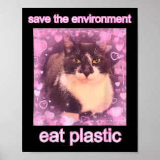 Póster Guardar el ambiente Comer Plástico Gracioso Gato M