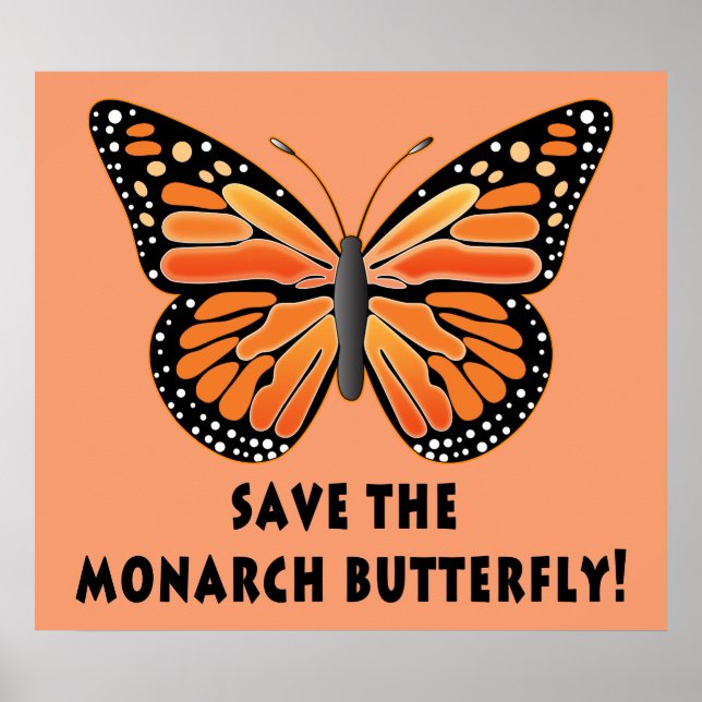 Póster Guardar la mariposa monarca (Frente)