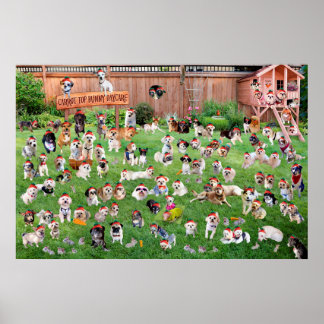 Póster Guardería Carrot Top Bunny 2015