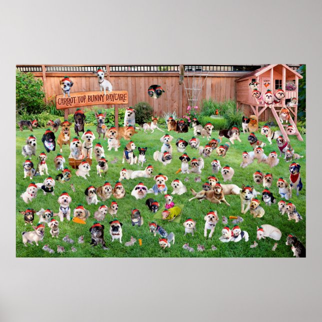 Póster Guardería Carrot Top Bunny 2015 (Frente)