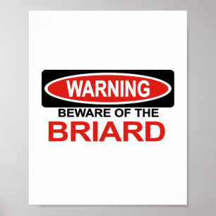 Póster Guárdese de Briard