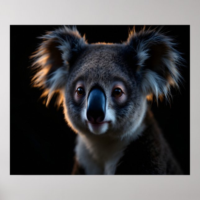 Póster Guardian Calm Koala – Cinematic Night Wildlife Por (Frente)