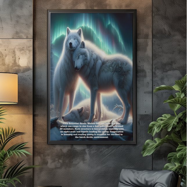 Póster Guardianes de los lobos blancos del Ártico (Subido por el creador)
