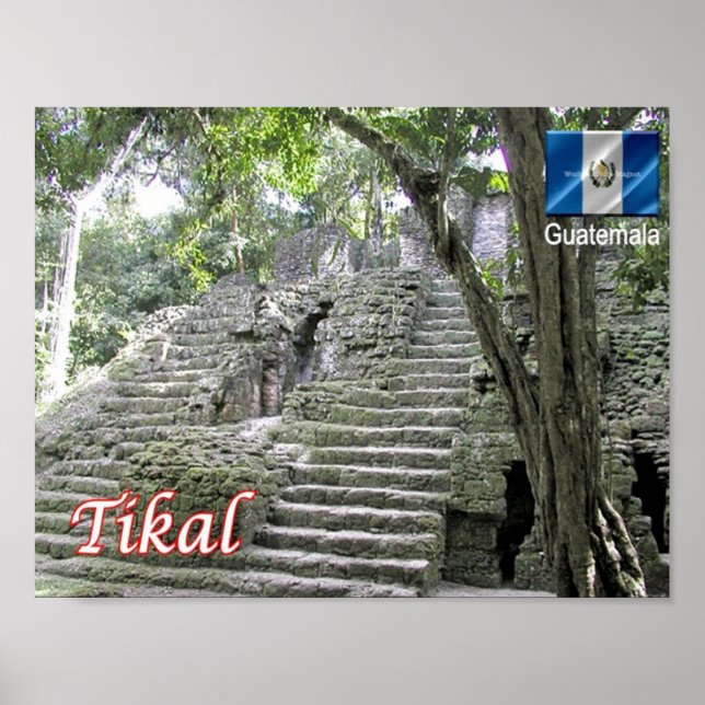Póster Guatemala - Tikal - (Frente)