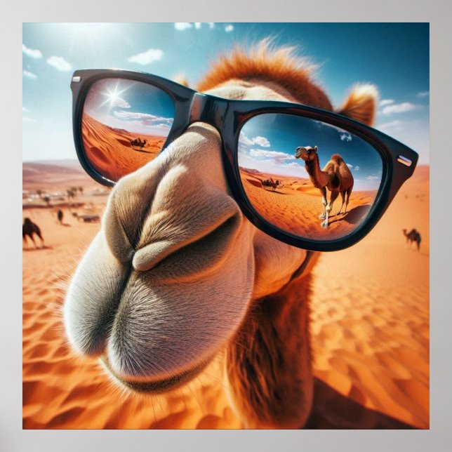 Póster Guay Camel Poster (Frente)