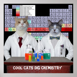 Póster Guay Cats Dig Química