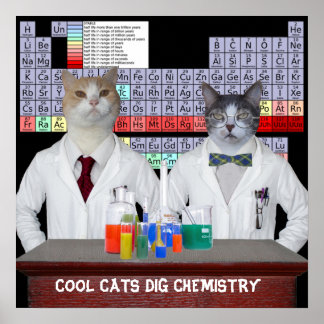 Póster Guay Cats Dig Química