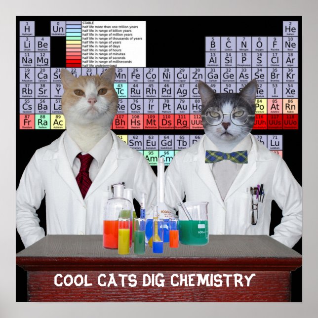 Póster Guay Cats Dig Química (Frente)