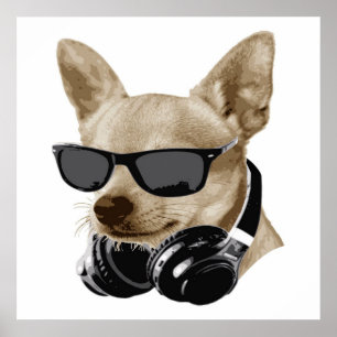 Póster Guay Chihuahua   Chihuahua Usando Gafas