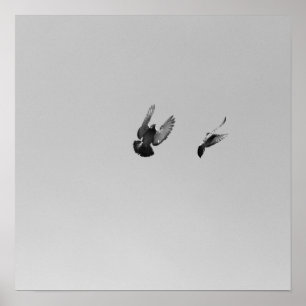 Póster Guay Modern B&W vuelo de pájaro diseño sencillo y 