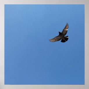 Póster Guay Moderno diseño moderno