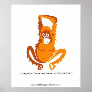 Póster Guay ORANGUTAN - Animal en peligro de extinción