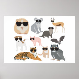 Póster Guay y animales divertidos con gafas de sol