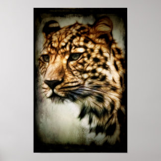 Póster Guepardo