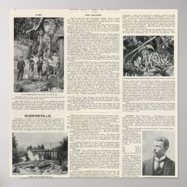 Póster Guerneville, California (Frente)