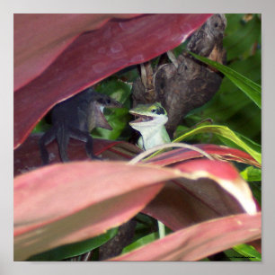 Póster Guerra del reptil