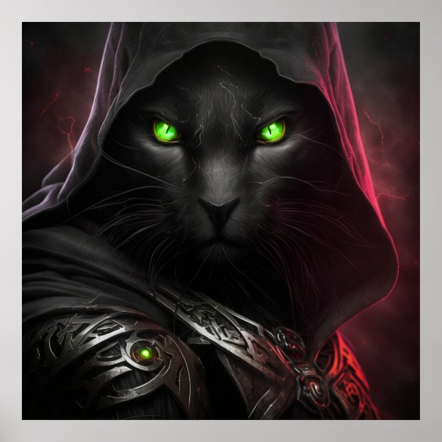 Póster Guerrero de gato negro poster (Frente)