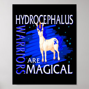 Póster Guerrero de la conciencia Magia Unicornio Hydrocep