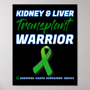 Póster Guerrero del trasplante renal Diásea renal del riñ