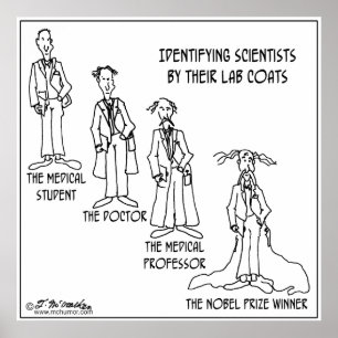 Póster Guía De Identificación Para Científicos