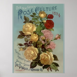 Póster Guía de la cultura Rosa de Vintage 1894
