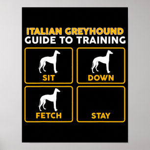 Póster guía divertida del greyhound italiano en entrenam