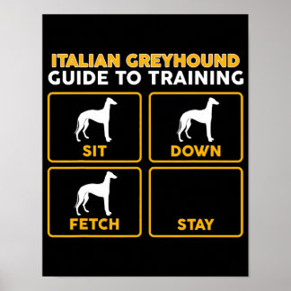 Póster guía divertida del greyhound italiano en entrenami