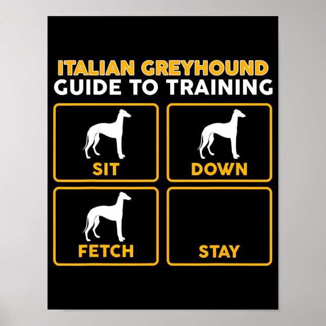 Póster guía divertida del greyhound italiano en entrenami (Frente)