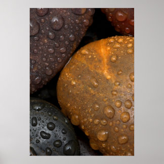 Póster Guijarros con gotas de agua