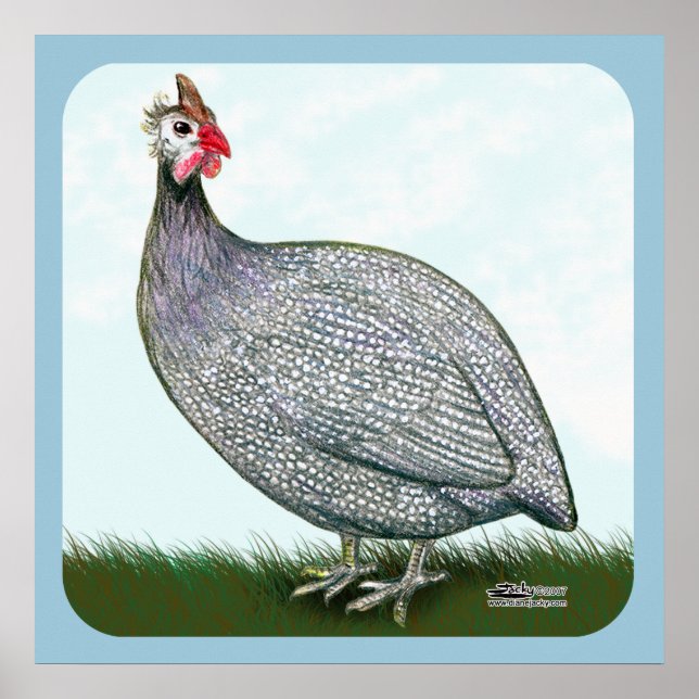 Póster Guinea Lavender En Vigilancia (Frente)