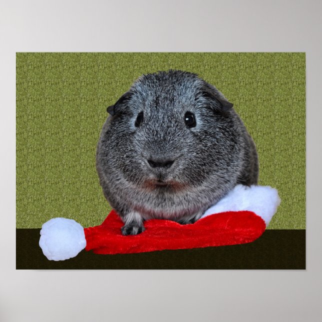 Póster Guinea Pig Christmas (Frente)