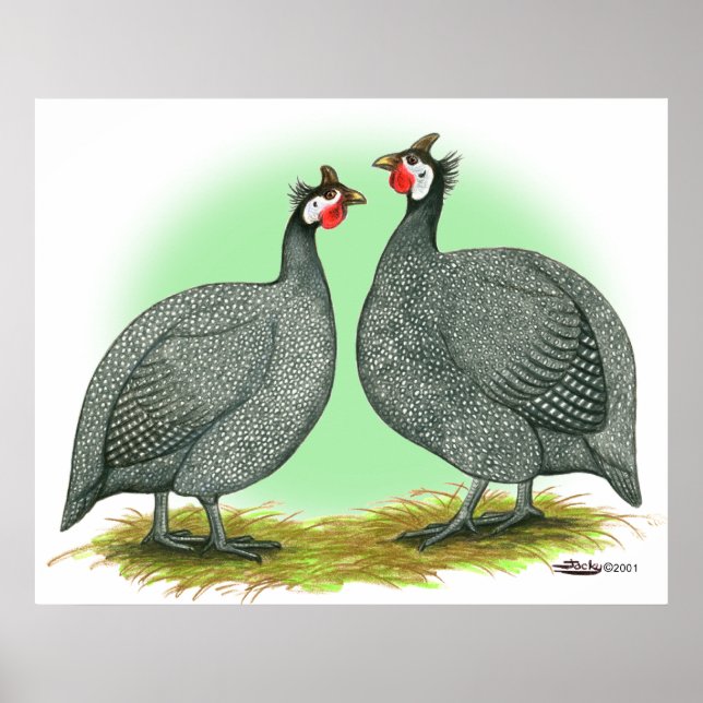 Póster Guineas: francés (Frente)