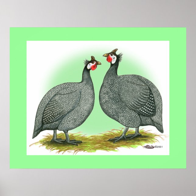 Póster Guineas:  Francesas (Frente)