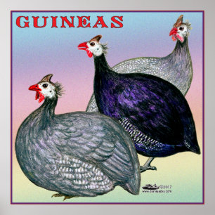 Póster Guineas Three Fowl