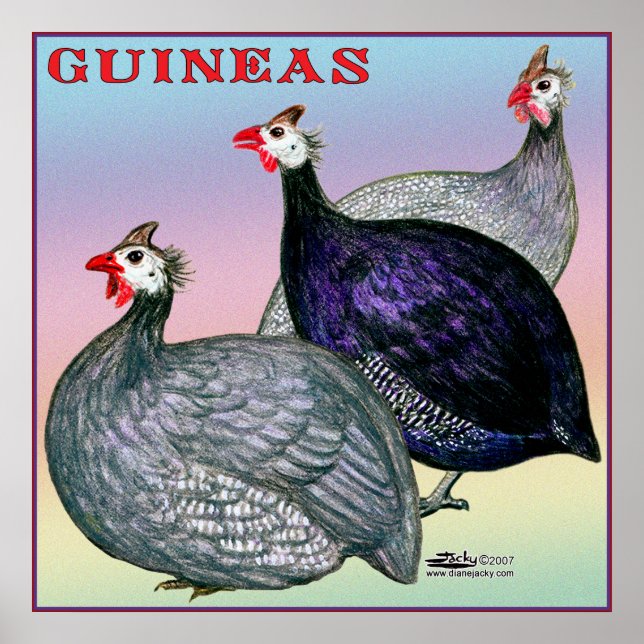 Póster Guineas Three Fowl (Frente)
