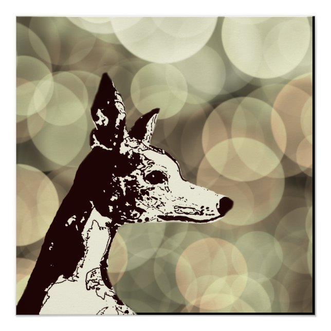 Póster Guión (Anverso)