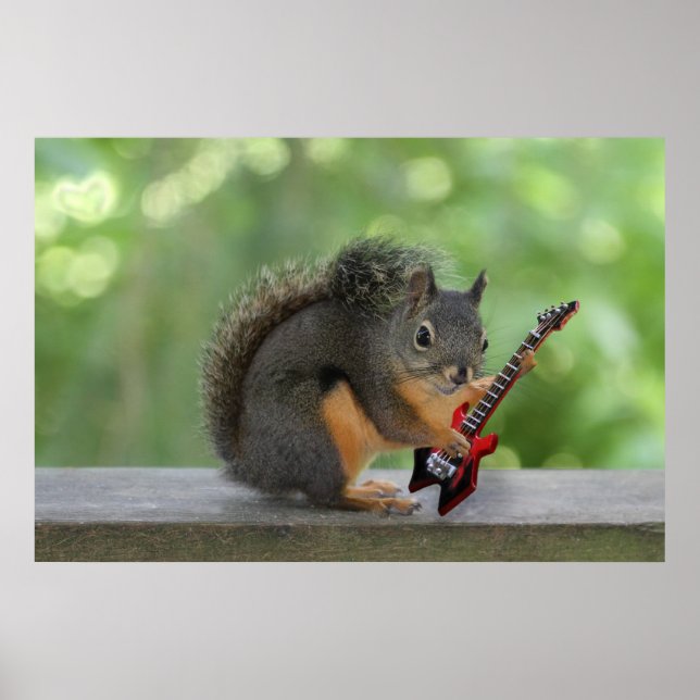 Póster Guitarra Eléctrica De La Ardilla (Frente)