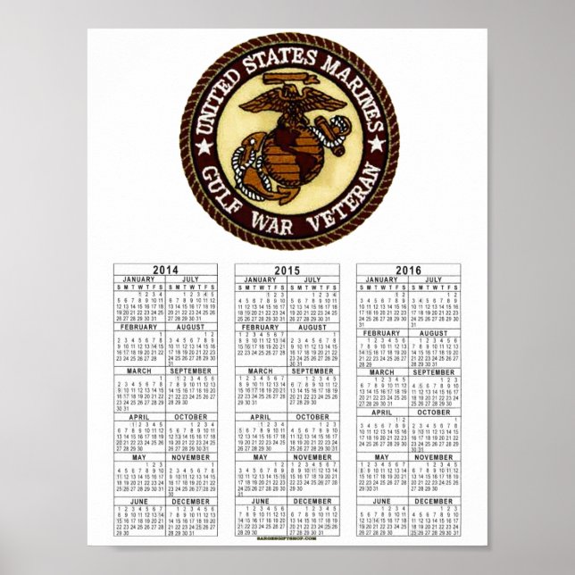 PÓSTER GULF WAR VET (Frente)